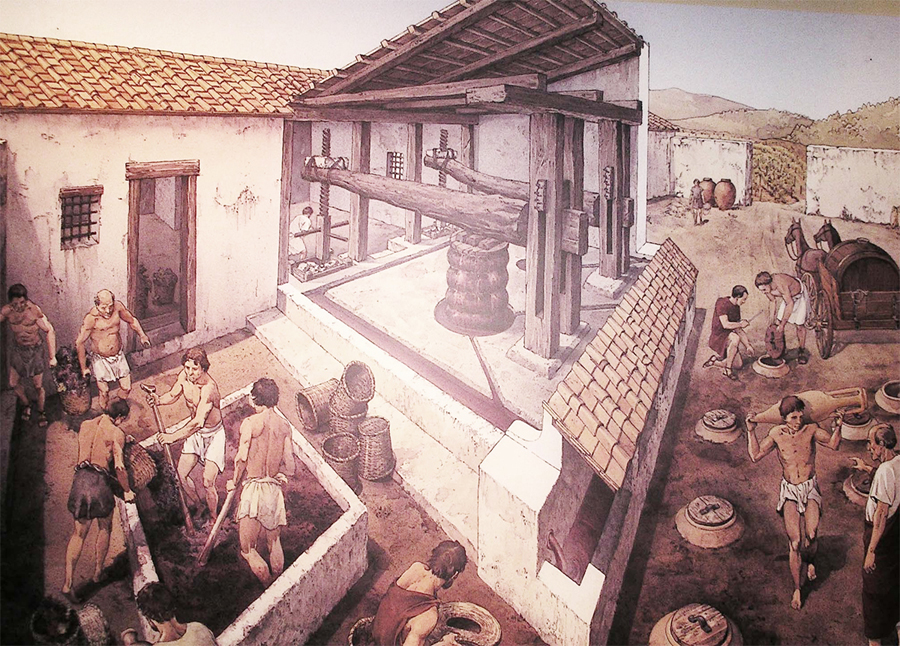 Winex, Museo del Vino, Daviddino, Cucina etrusca