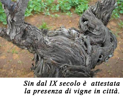 Winex, Museo del Vino, Daviddino, Cucina etrusca