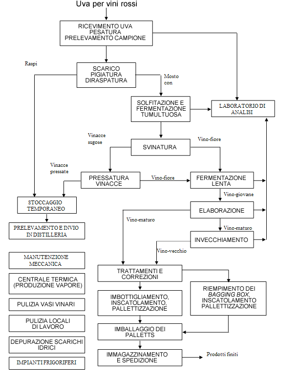 Winex, Museo del Vino, Daviddino, Cucina etrusca produzione vino